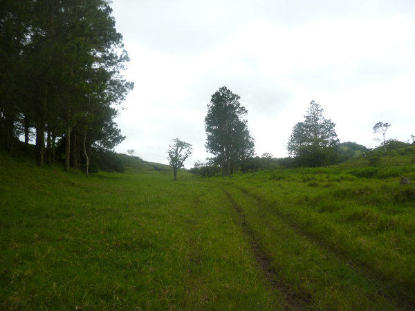 54 HECTARES FOR SALE NEAR VOLCAN, CHIRIQUI, PANAMA