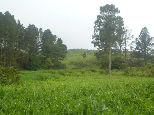 ROLLING HILLS LOCATED ON THE PROPERTY FOR SALE IN VOLCAN, PANAMA
