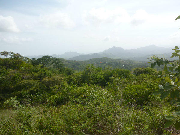 EARLY MORNING IN THE PROPERTY FOR SALE IN LA PINTADA, COCLE, PANAMA