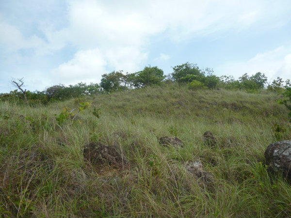 LAND FOR SALE IN LA PINTADA, COCLE, PANAMA