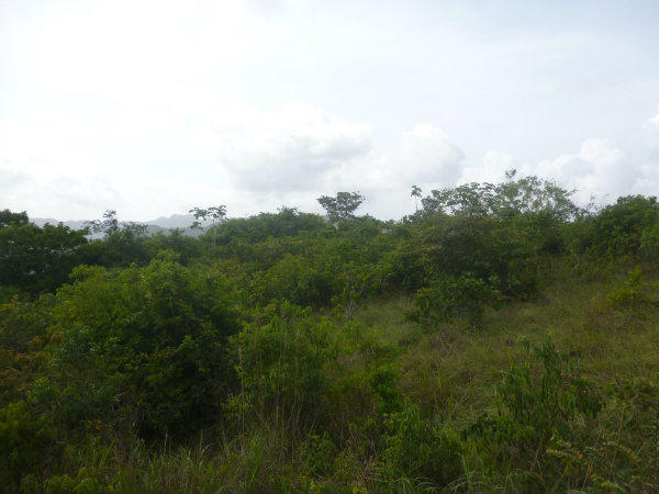 COUNTRYSIDE PROPERTY FOR SALE IN COCLE, PANAMA