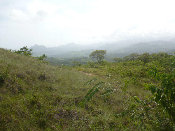 CLOUDY DAY ON THE FARM FOR SALE IN LA PINTADA, COCLE, PANAMA