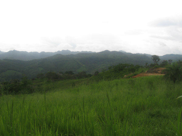 COCLE, REAL ESTATE FOR SALE 