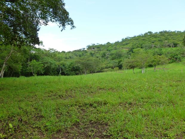 PANAMA OESTE, SAN CARLOS, LOT FOR SALE WITH RIVERFRONT IN EL ESPINO.