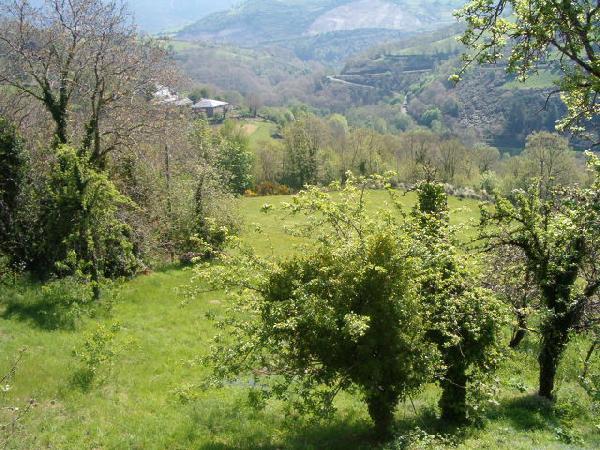 ESPAÑA, LUGO , LOS NOGALES CASONA EN VENTA