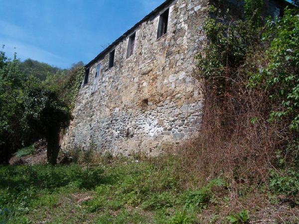 ESPAÑA, LUGO , LOS NOGALES CASONA EN VENTA