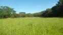 CHIRIQUI, BOQUERON, FARM FOR SALE IN BAGALA