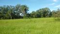 CHIRIQUI, BOQUERON, FARM FOR SALE IN BAGALA