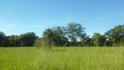 CHIRIQUI, BOQUERON, FARM FOR SALE IN BAGALA