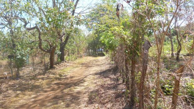 CHIRIQUI, SAN LORENZO, LOT FOR SALE 200 METERS FROM THE HIGHWAY