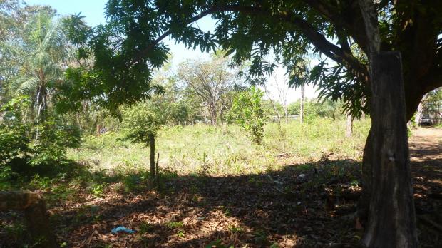 CHIRIQUI, SAN LORENZO, LOT FOR SALE 200 METERS FROM THE HIGHWAY