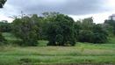 LAND FOR SALE, SARDINIIA, COLON, PANAMA SMALL FARM NEAR SARDINIIA, COLON, PANAMA, FOR SALE