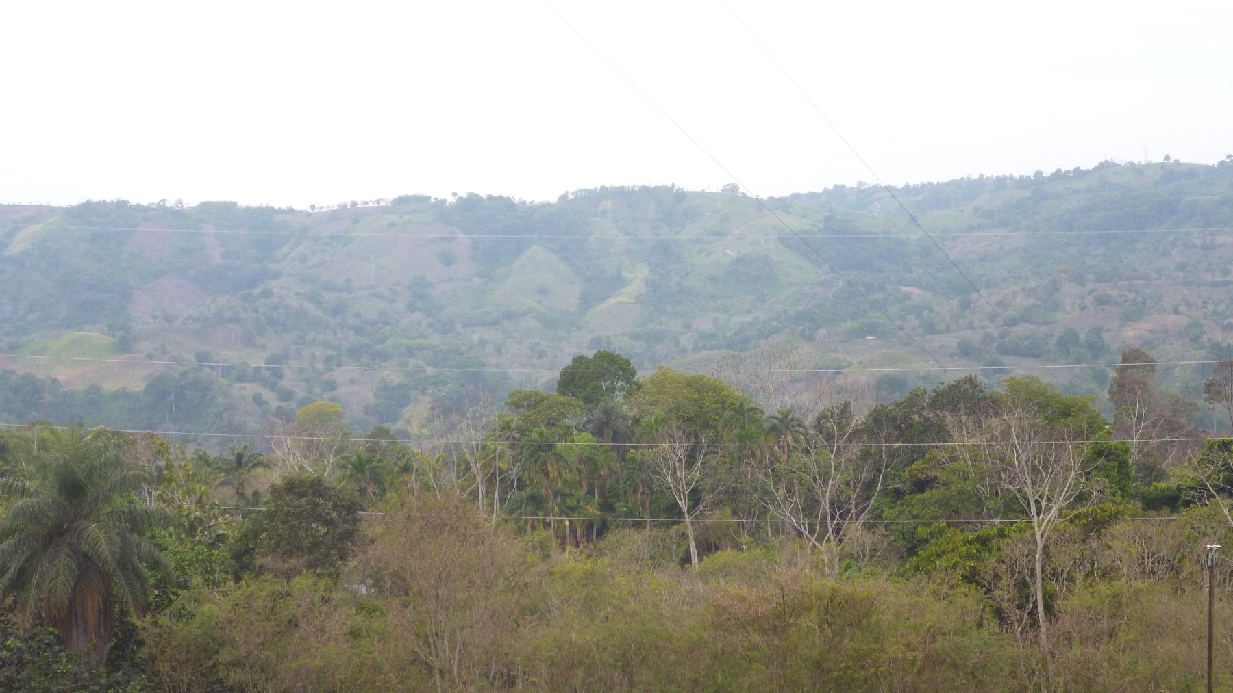 CHIRIQUI, RENACIMIENTO, PLAZA CAISAN, WORKING FARM FOR SALE