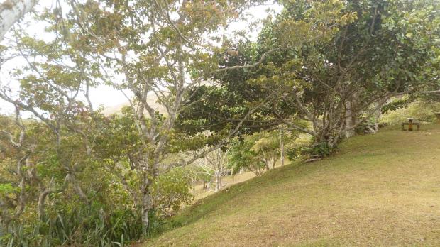 PANAMA, CHAME, CHICA, OCEAN AND MOUNTAIN VIEW PROPERTY FOR SALE