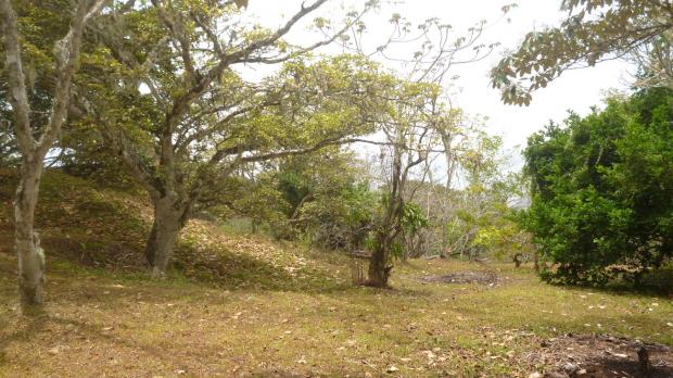 PANAMA, CHAME, CHICA, OCEAN AND MOUNTAIN VIEW PROPERTY FOR SALE