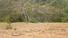 PANAMA OESTE, CHAME, OCEAN AND MOUNTAIN VIEW PROPERTY IN SORA