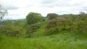 CHIRIQUI, BUGABA, OCEAN VIEW FARM IN CUESTA DE PIEDRA