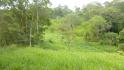 CHIRIQUI, BUGABA, OCEAN VIEW FARM IN CUESTA DE PIEDRA