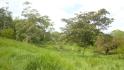 CHIRIQUI, BUGABA, OCEAN VIEW FARM IN CUESTA DE PIEDRA