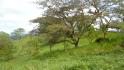 CHIRIQUI, BUGABA, OCEAN VIEW FARM IN CUESTA DE PIEDRA