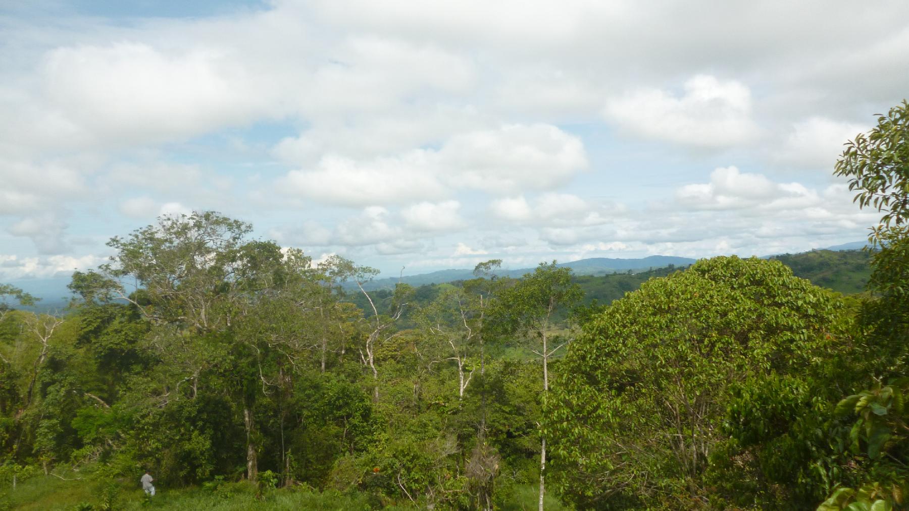 CHIRIQUI, BUGABA, OCEAN VIEW FARM IN CUESTA DE PIEDRA