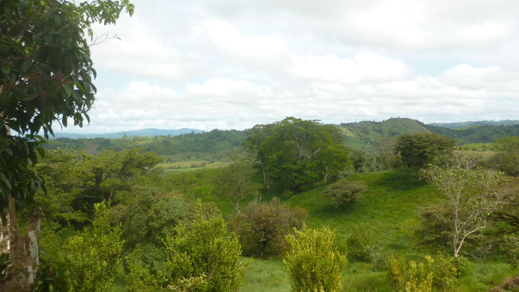 CHIRIQUI, BUGABA, OCEAN VIEW FARM IN CUESTA DE PIEDRA