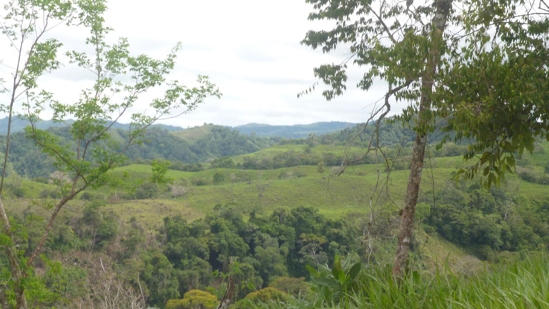 CHIRIQUI, BUGABA, OCEAN VIEW FARM IN CUESTA DE PIEDRA