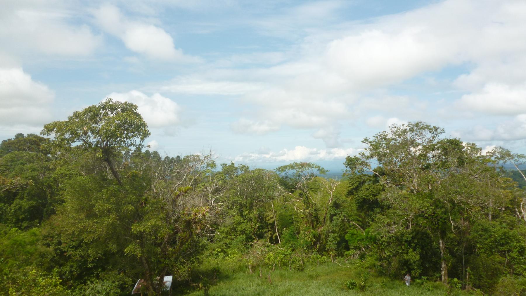 CHIRIQUI, BUGABA, OCEAN VIEW FARM IN CUESTA DE PIEDRA