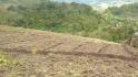 CHIRIQUI, BUGABA, MOUNTAIN PROPERTY IN CERRO PUNTA