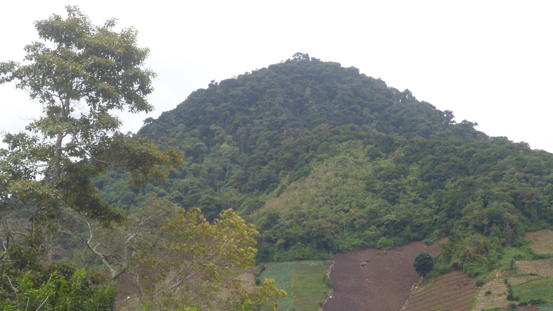 CHIRIQUI, BUGABA, MOUNTAIN PROPERTY IN CERRO PUNTA