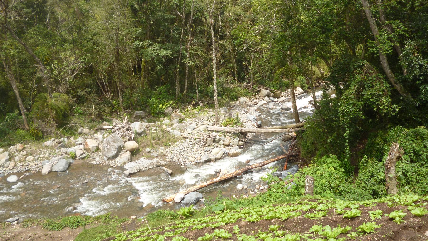 CHIRIQUI, BUGABA, MOUNTAIN PROPERTY IN CERRO PUNTA