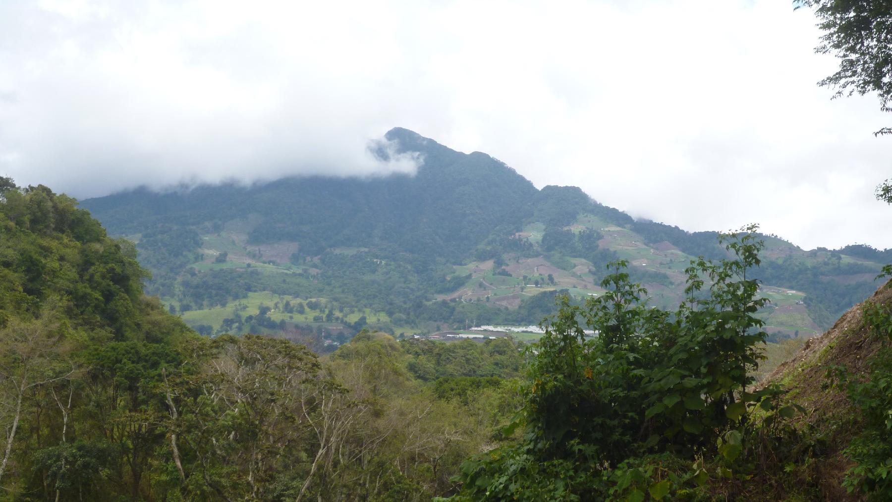 CHIRIQUI, BUGABA, MOUNTAIN PROPERTY IN CERRO PUNTA