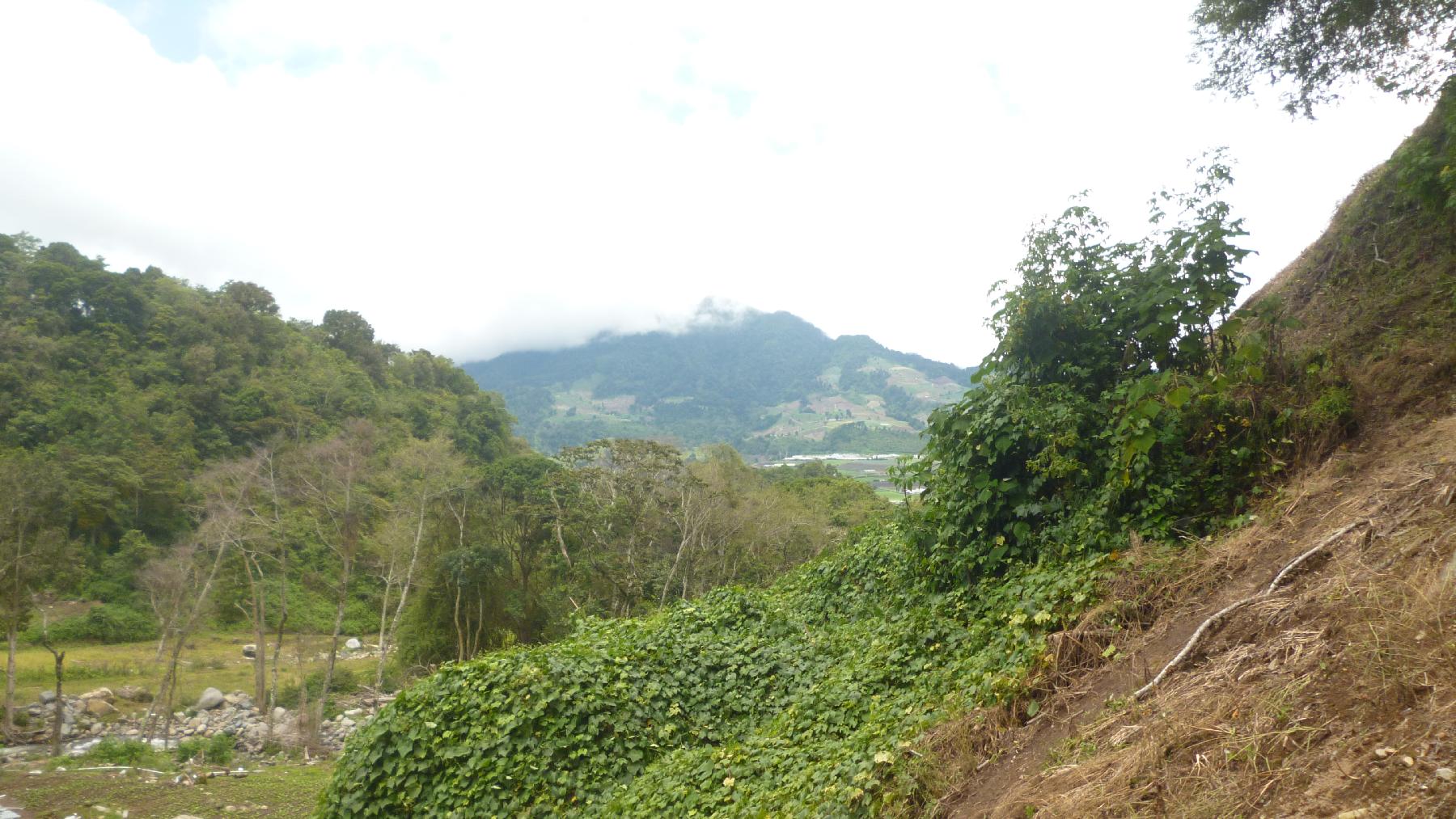 CHIRIQUI, BUGABA, MOUNTAIN PROPERTY IN CERRO PUNTA