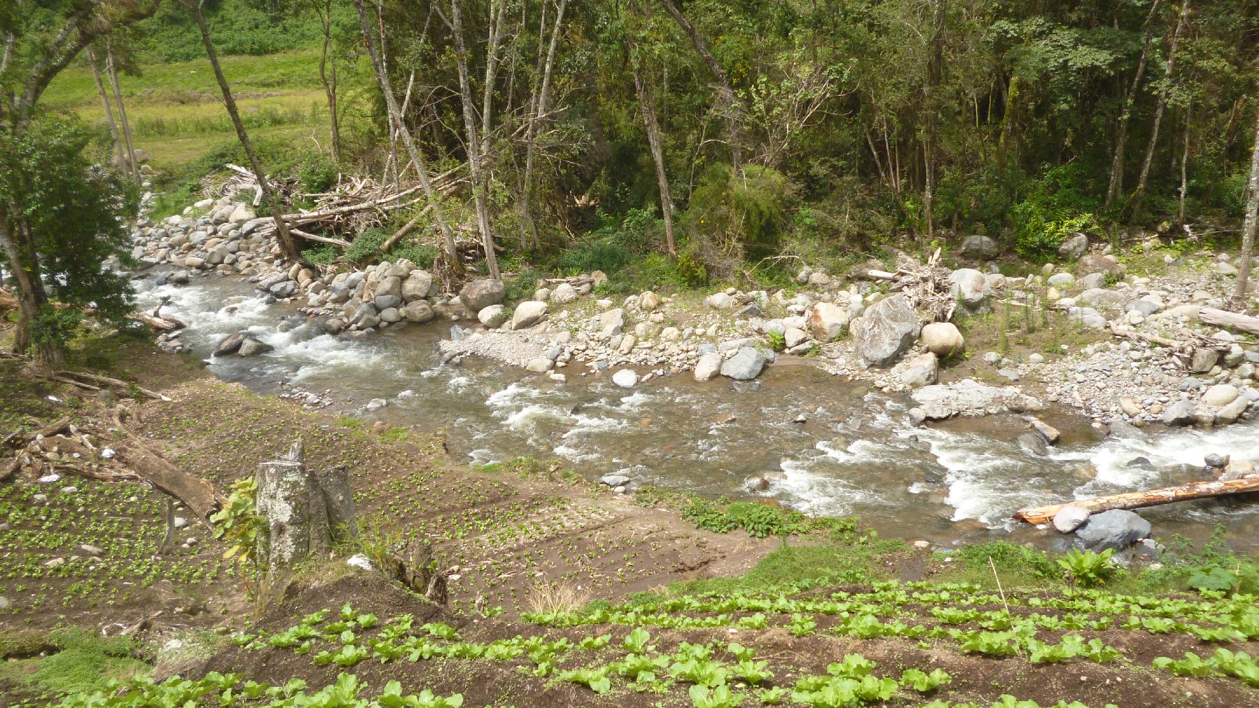 CHIRIQUI, BUGABA, MOUNTAIN PROPERTY IN CERRO PUNTA