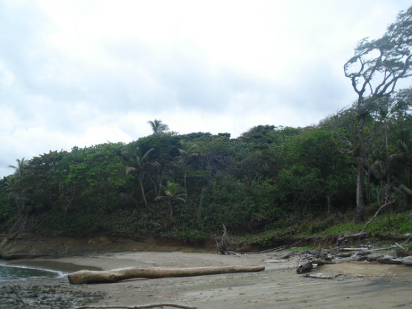 COLON, PROPERTY IN PALENQUE ON THE CARIBBEAN OCEAN