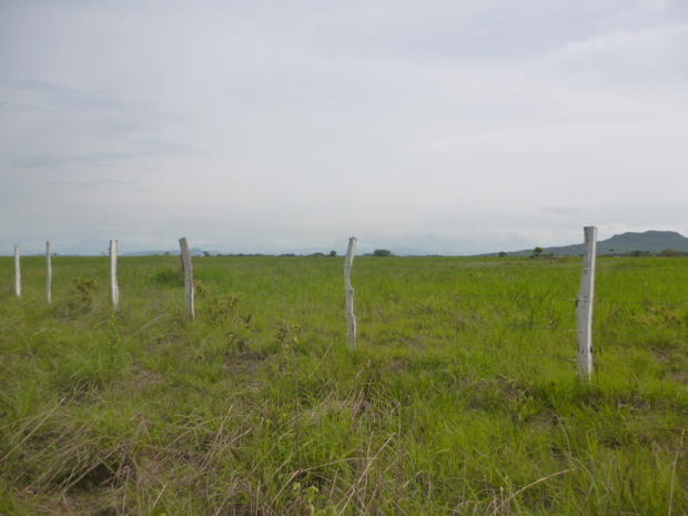 CHIRIQUI, SAN LORENZO, A LA VENTA FINCA FRENTE AL MAR