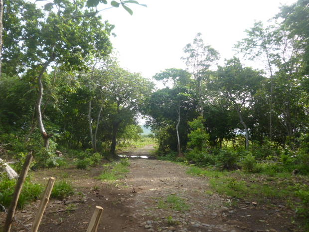 CHIRIQUI, SAN LORENZO, A LA VENTA FINCA FRENTE AL MAR