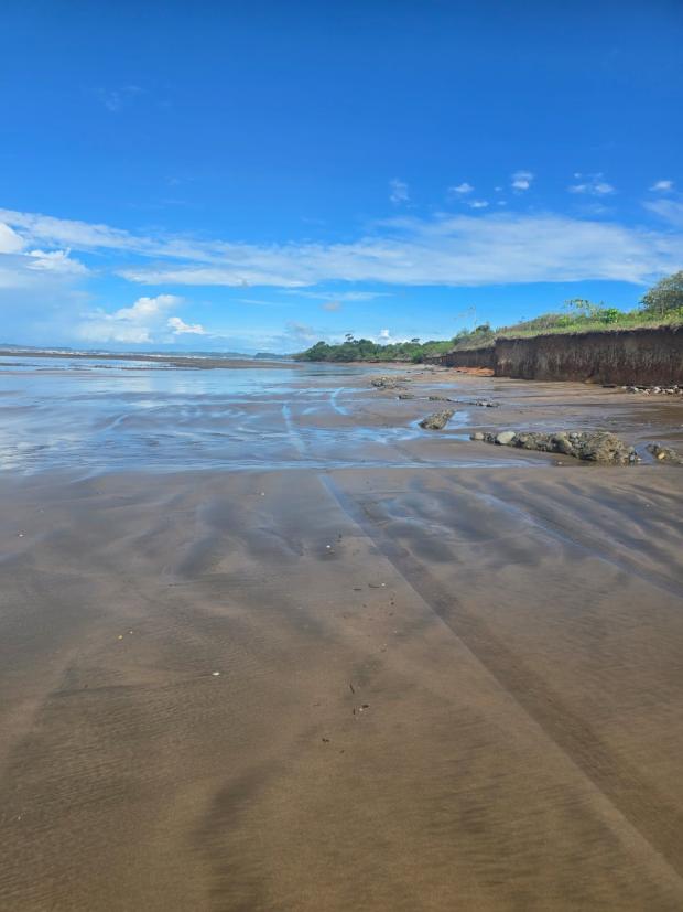 CHIRIQUI, SAN LORENZO, OCEANFRONT FARM FOR SALE