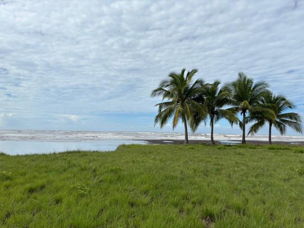 CHIRIQUI, SAN LORENZO, OCEANFRONT FARM FOR SALE