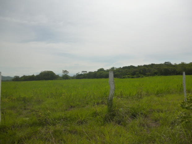 CHIRIQUI, SAN LORENZO, A LA VENTA FINCA FRENTE AL MAR