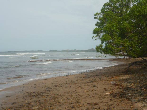 CHIRIQUI, SAN LORENZO, A LA VENTA FINCA FRENTE AL MAR