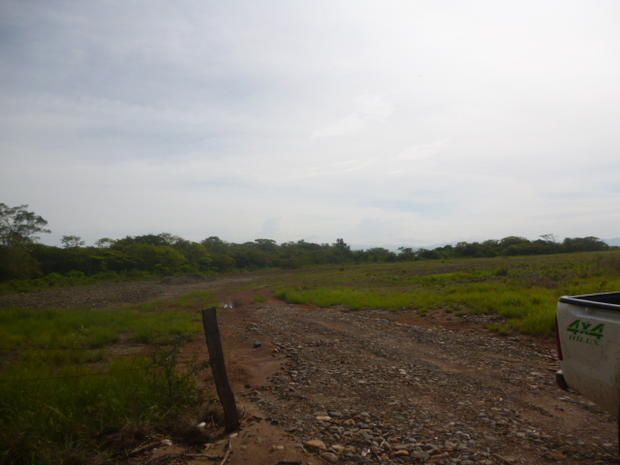 CHIRIQUI, SAN LORENZO, A LA VENTA FINCA FRENTE AL MAR