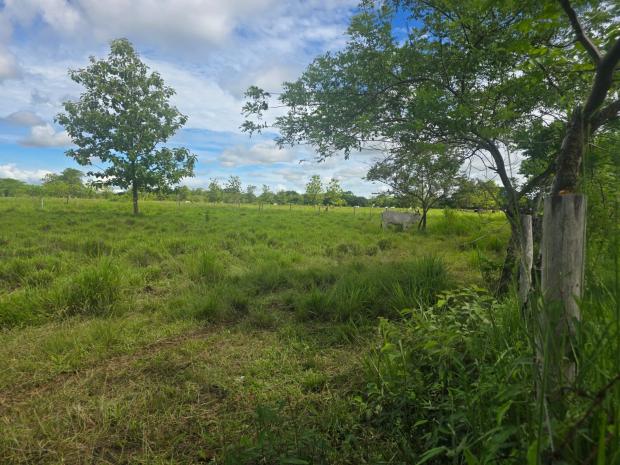 CHIRIQUI, SAN LORENZO, OCEANFRONT FARM FOR SALE