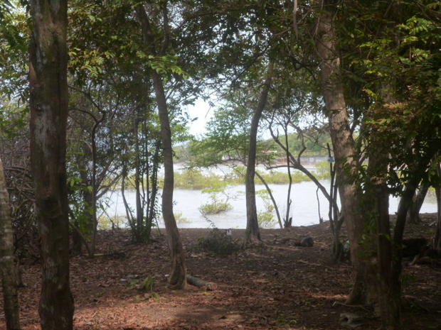 CHIRIQUI, SAN LORENZO, FERME A VENDRE