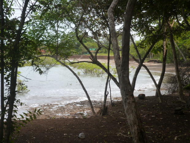CHIRIQUI, SAN LORENZO, FERME A VENDRE