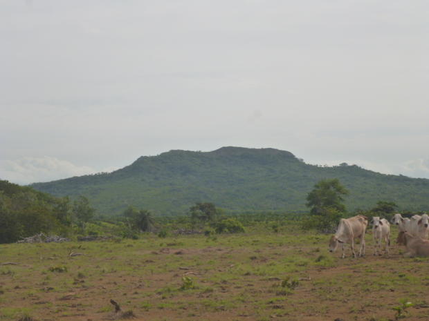 CHIRIQUI, SAN LORENZO, FERME A VENDRE