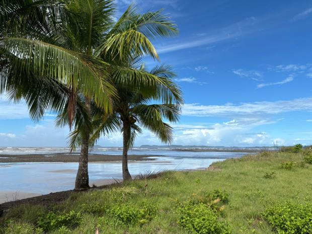 CHIRIQUI, SAN LORENZO, OCEANFRONT FARM FOR SALE