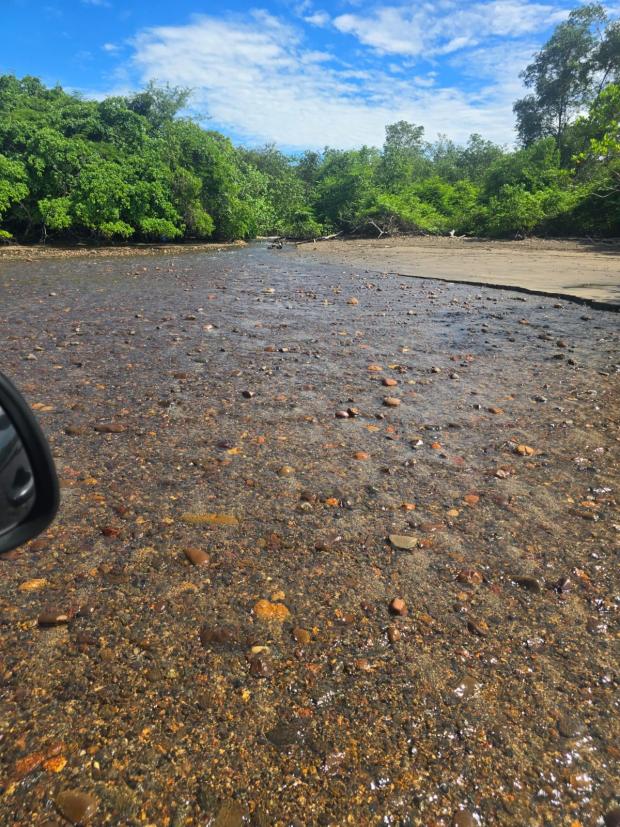 CHIRIQUI, SAN LORENZO, OCEANFRONT FARM FOR SALE