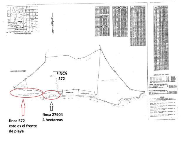CHIRIQUI, SAN LORENZO, OCEANFRONT FARM FOR SALE