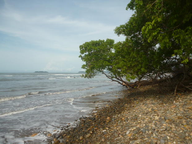 CHIRIQUI, SAN LORENZO, A LA VENTA FINCA FRENTE AL MAR